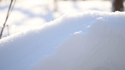 The Science Behind Snow That Crunches Too Loudly