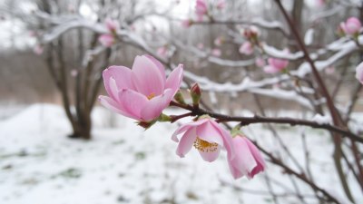 Why Spring Is Just Winter Playing Mind Games