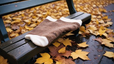 Why That One Sock Always Disappears on Rainy Days